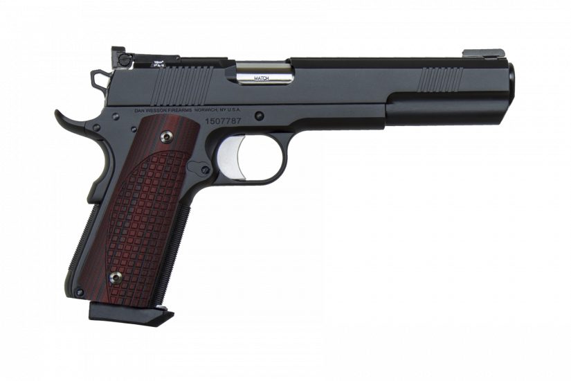 Dan Wesson Bruin 10mm 6.03″ Barrel 8+1 01880