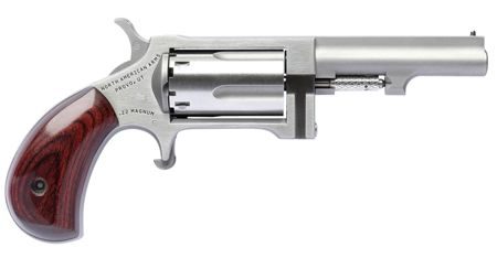 NAA SW250 SIDEWINDER 22MAG 2.5IN