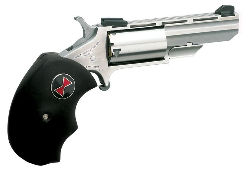 NAA BWL BLACK WIDOW 22LR 2IN FS