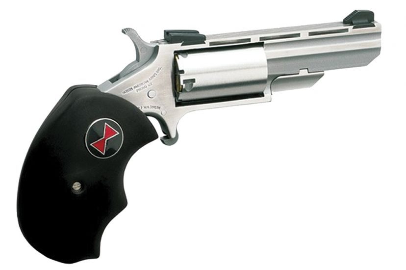 NAA BWM BLACK WIDOW 22MAG 2IN FS
