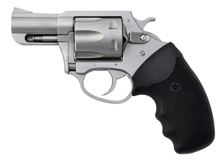 CHA 74020 PITBULL 40SW 5SHOT SS