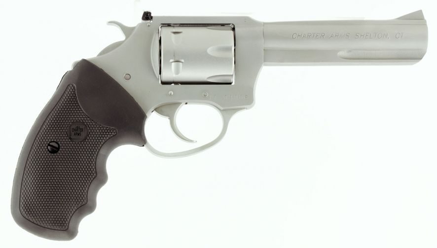 CHA 72342 PATHFINDER 22MAG SS 4.2IN